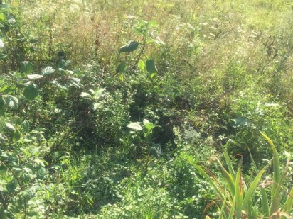 продам земельну ділянку в м Красилів Красилов