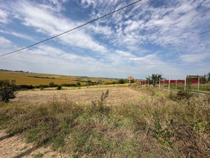 Продаж ділянки в селі Шаровечка Шаровечка