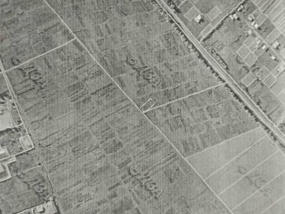 Земельна ділянка під садівництво Летичев