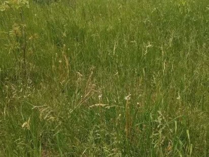 Участок під забудову в Ярмолинцях