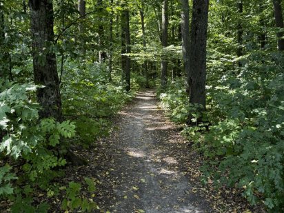 Продаж земельної ділянки Давидківці 10 соток