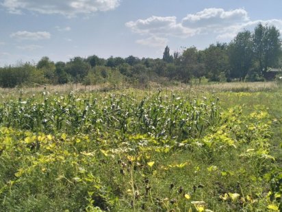 Продам участок на Лезнево Давидківці