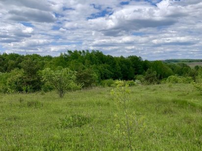 Продаж землі 5 гектарів Стуфчинцы