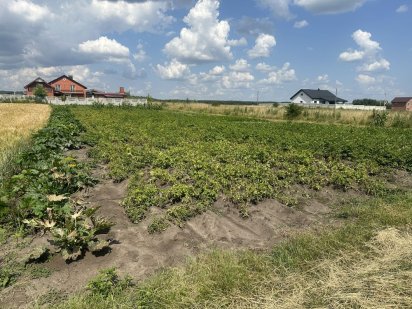 Ділянка Копистиньське шосе Копыстин