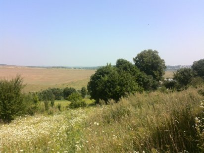 Продається перспективна земельна ділянка Сатанов