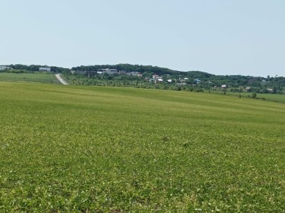 Продаж земельної ділянки. Сатанов