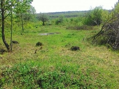 Продам приватизовану земельну ділянку в смт. Нова Ушиця Нова Ушиця