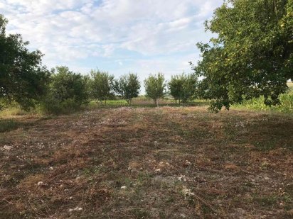 Продам земельный участок, 7,5 соток, або здам в оренду з правом викупу Новая Ушица