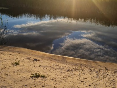 Продаж землі Коробівка