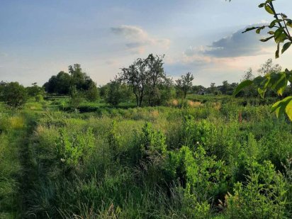 Продам земельну ділянку