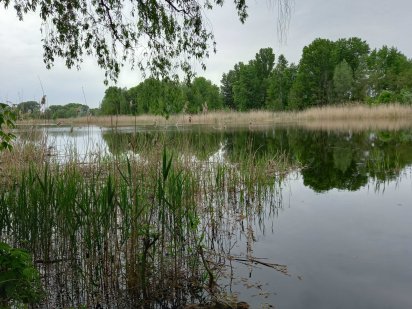 Продажа земли Красная слобода у р. Днепр