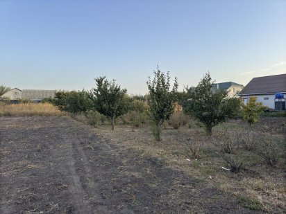 Земельна ділянка в селі Червона Слобода Красная Слобода