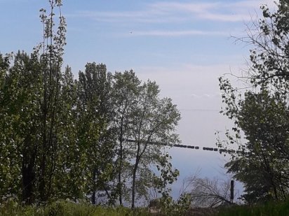 Земельна ділянка біля річки Дніпро в с. Червона Слобода.