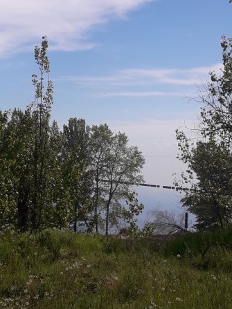 Земельна ділянка біля річки Дніпро в с. Червона Слобода. - фото 1