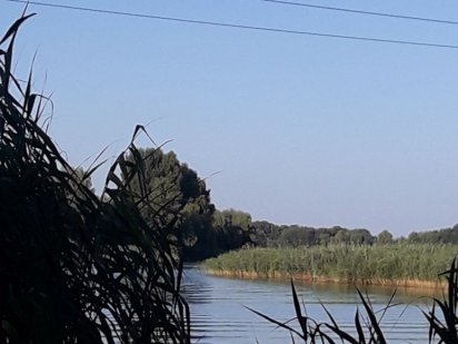 Пропонуємо до продажу зем. ділянку біля р. Дніпро в Ч. Слободі