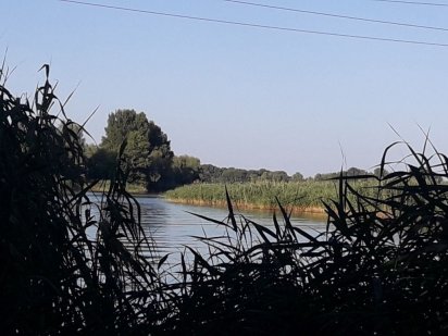 Продаж земельної ділянки в с. Червона Слобода Черкаського району.