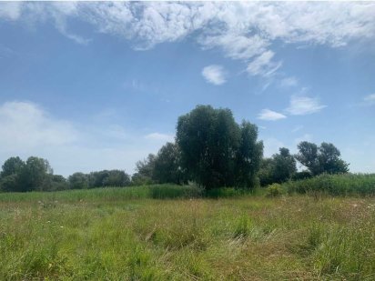 Продаж 5 земельних ділянок в с. Червона Слобода