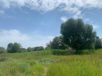 Продаж ділянки в с. Червона Слобода Красная Слобода