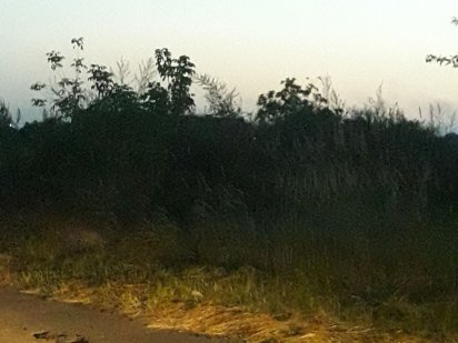 Продаж земельної ділянки в с. Червона Слобода під будівництво