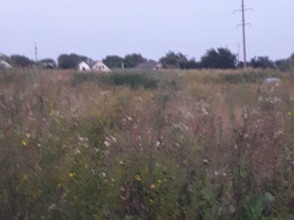 Продаж земельної ділянки в с. Червона Слобода урочище "Вовче"