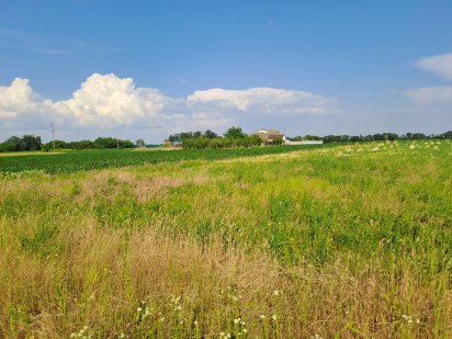 Земельна ділянка