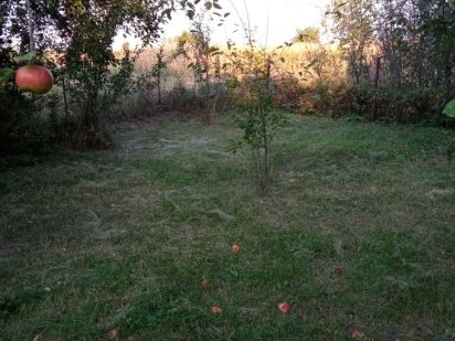 Цену снижено!!!Продажа участка в Русской Поляне!