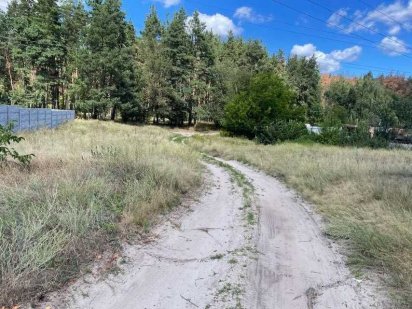 Продається земельна ділянка в с. Руська Поляна біля лісу!