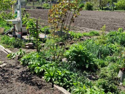 Продається земельна ділянка в с. Руська Поляна. Терміново!