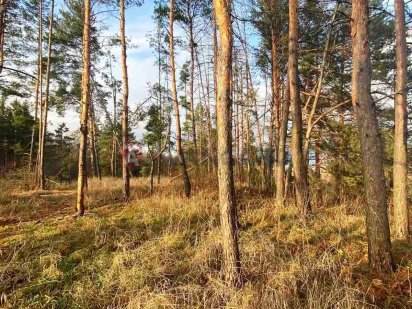 Продається чудова ділянка в живописному лісі с. Свидівок Свидівок
