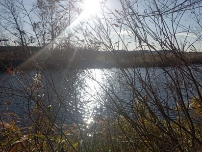 Земельна ділянка у лісі біля води. За Дахнівкою. Свидівок