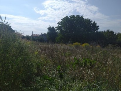 Продаж в с. Р. Поляна Руська Поляна