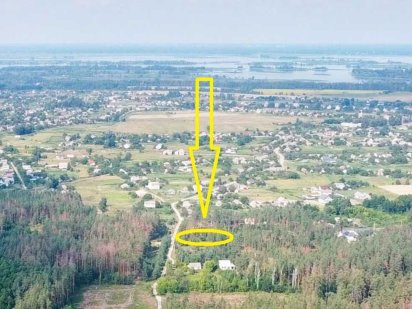 Ділянка 25 соток в Свидівку під забудову у сосновому лісі Свидівок