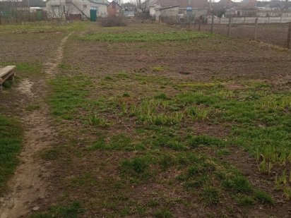 Продажа землі в с. Руська Поляна