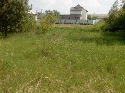 продам землю в центре с. Свидивок Свидівок