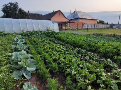 Участок в с. Білозір'я Білозір'я