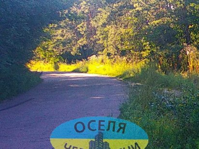 Продається земельна ділянка Свидівок