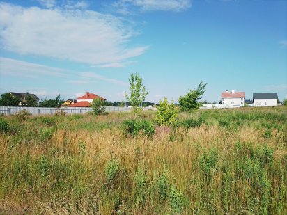 Земельна ділянка СГК "Розвиток" Геронимовка