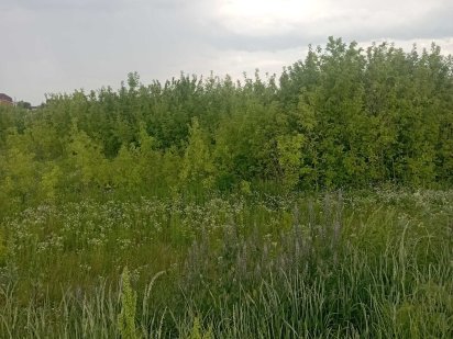 Фасадна ділянка 12 соток. Між Обїзною дорогою та кооп. "Розвиток". Геронимівка