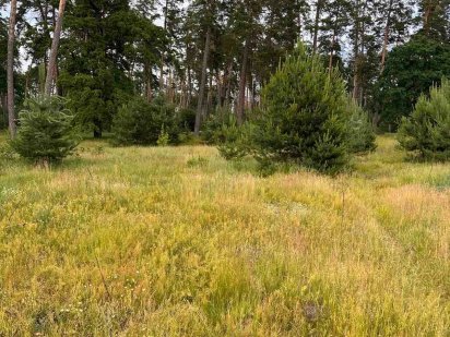 Продам ділянку в лісі с. Геронимівка р-н Стадіона Геронимівка