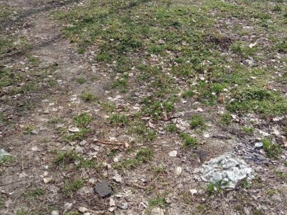 Продажа земли в с. Геронимовка