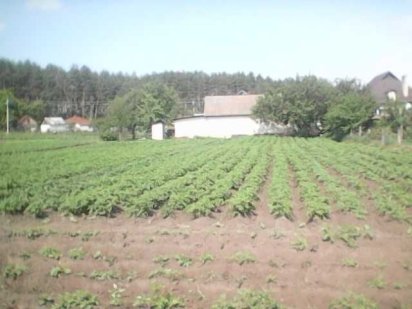 ділянка під забудову центр с геронимівка пров єдності Геронимівка