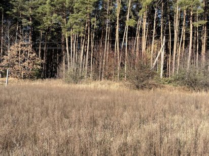 Ділянка 36 сот біля лісу в с.Благодатне (Чапаєвка) Благодатне