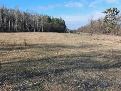 Земельна ділянка, с. Благодатне. Фасадна. Благодатне