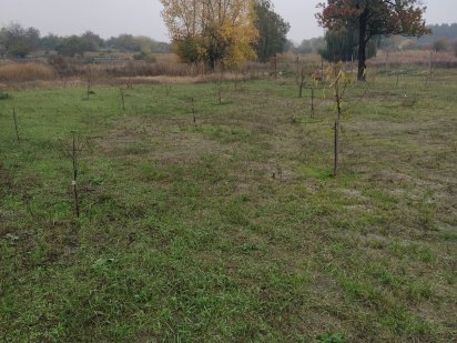 Продам участок с.Благодатне Благодатне