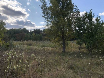 Продается участок в кооперативе Ольшанка Лозивок