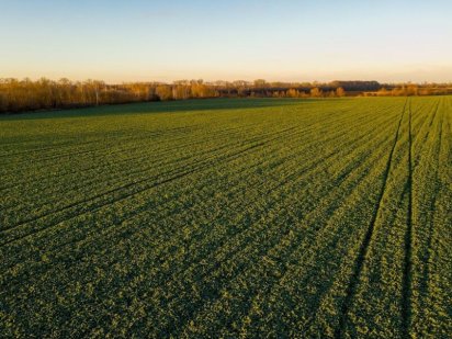 Продам земельний пай Черкаська область 3 гектар Чигирин