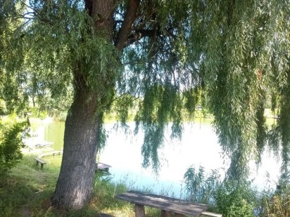 Земельні ділянки ціна за 2шт. Біля озера ча лісу, Чигирин.