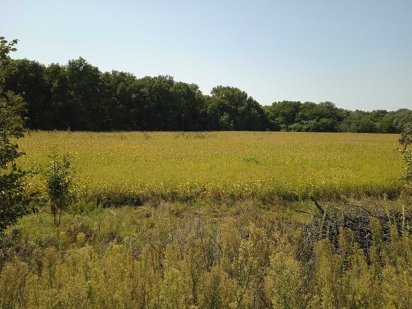 Продам земельну ділянку 2 га. Чигирин