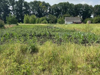 Продається ділянка землі в Жашкові