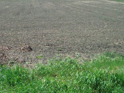 Продам земельну ділянку м. Жашків